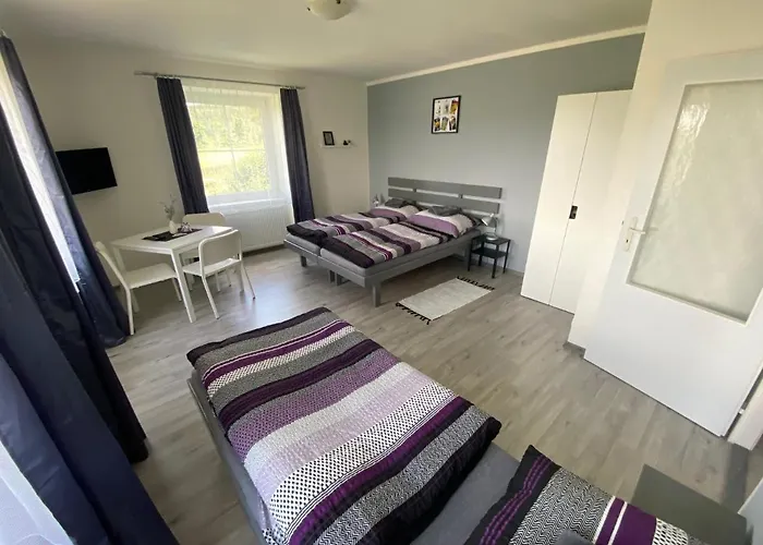 Penzion Kamejk 3*