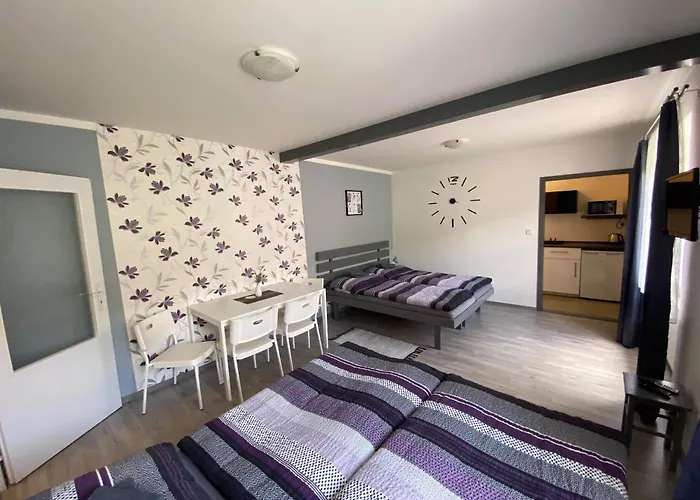 Penzion Kamejk Kamyk nad Vltavou